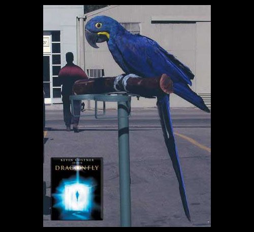 Animals Album